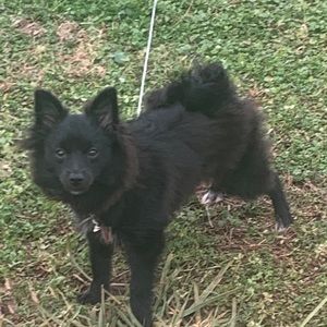 Meet your Posher, Angie